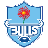 Vodacom Bulls